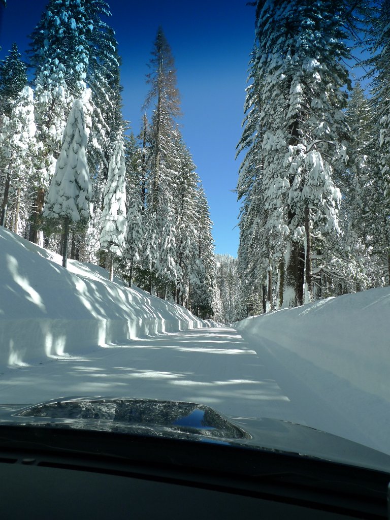 Yosemite_Valley (32).JPG